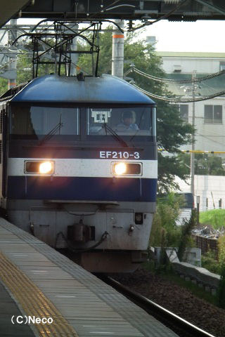 2010N0819