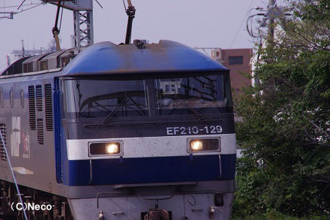 2010N1008ifwj