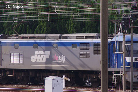 2010N1219