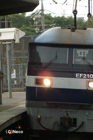 2010N0813iwj