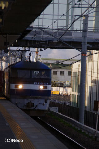 2010N1224ifwj