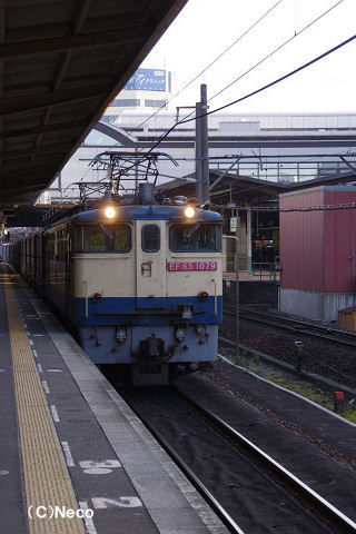 2010N1201iRwj