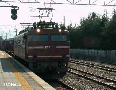 EF81-10E2009N114iwj