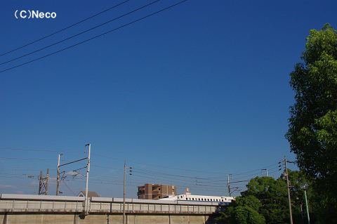 2010N0724